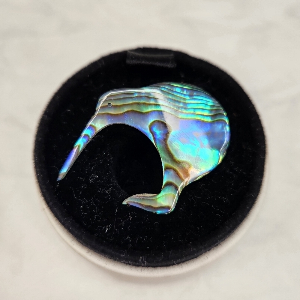 Australian Qiwi shell brooch